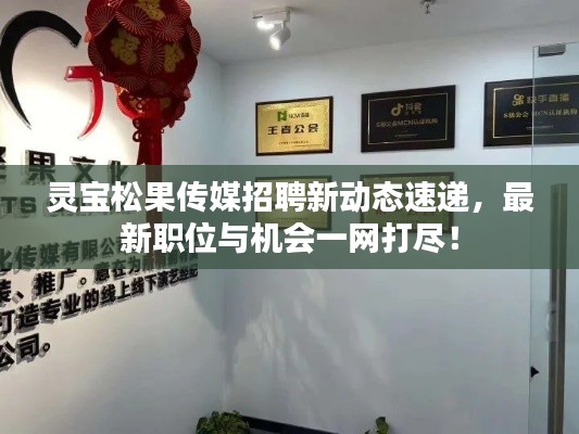 灵宝松果传媒招聘新动态速递，最新职位与机会一网打尽！