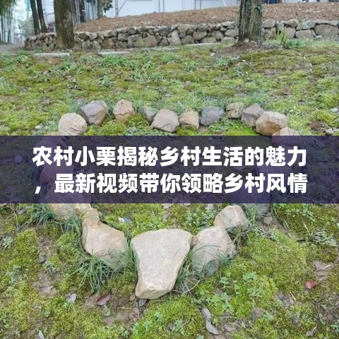农村小栗揭秘乡村生活的魅力，最新视频带你领略乡村风情！