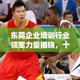东莞企业培训行业领军力量揭晓，十大培训机构引领行业发展趋势