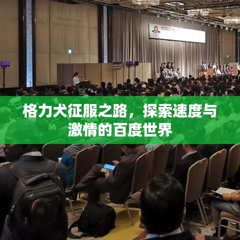 别出新意 第3页