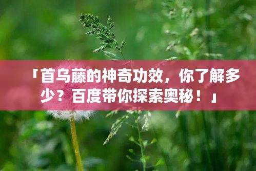 「首乌藤的神奇功效，你了解多少？百度带你探索奥秘！」