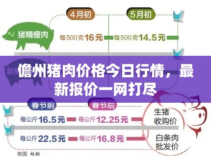 儋州猪肉价格今日行情，最新报价一网打尽
