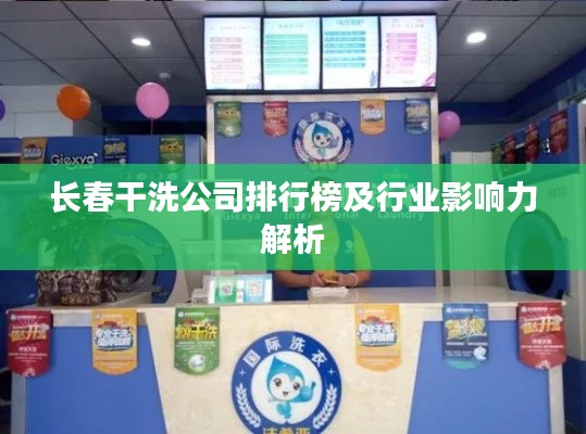 长春干洗公司排行榜及行业影响力解析