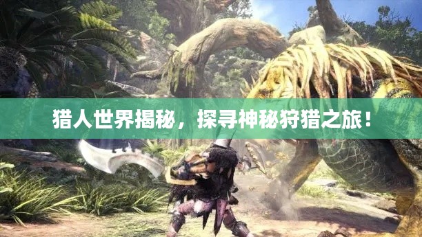 猎人世界揭秘，探寻神秘狩猎之旅！
