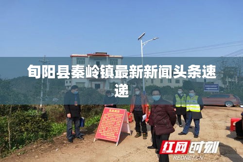 旬阳县秦岭镇最新新闻头条速递