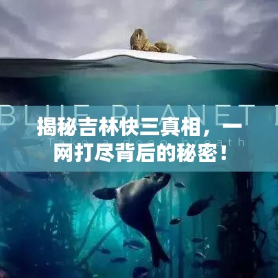 揭秘吉林快三真相，一网打尽背后的秘密！