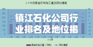 镇江石化公司行业排名及地位揭秘