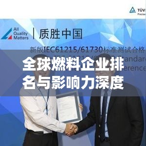 全球燃料企业排名与影响力深度解析