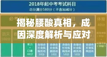 揭秘腰酸真相，成因深度解析与应对建议！
