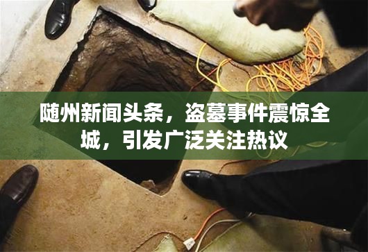 随州新闻头条，盗墓事件震惊全城，引发广泛关注热议