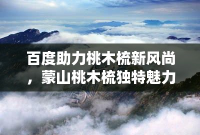 百度助力桃木梳新风尚，蒙山桃木梳独特魅力引领潮流