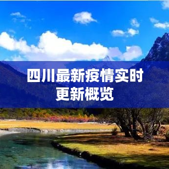 四川最新疫情实时更新概览