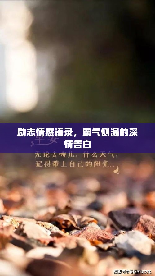 励志情感语录，霸气侧漏的深情告白