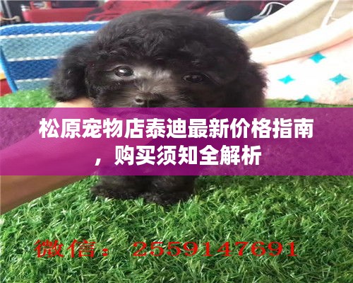 衣不兼彩 第2页