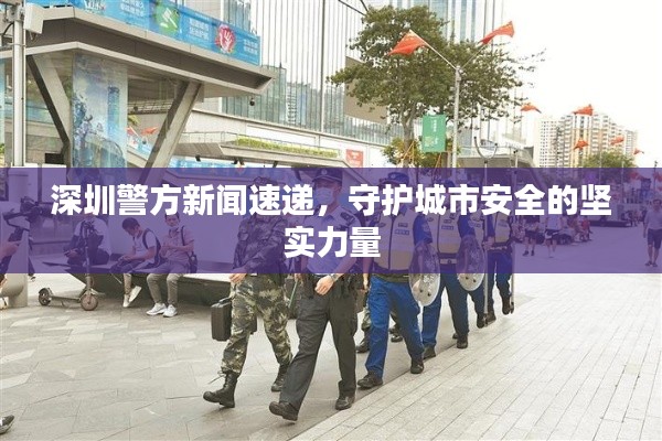 深圳警方新闻速递，守护城市安全的坚实力量