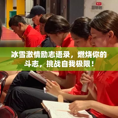 雍容华贵 第2页