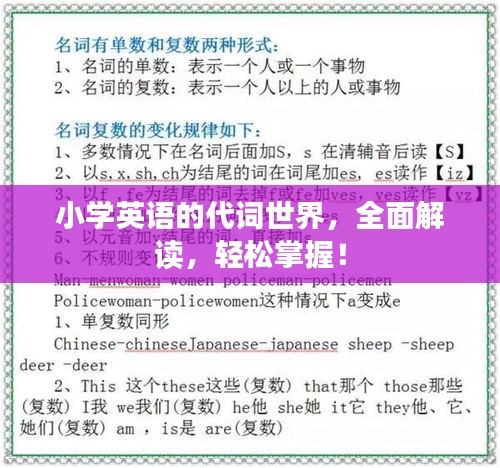 小学英语的代词世界，全面解读，轻松掌握！