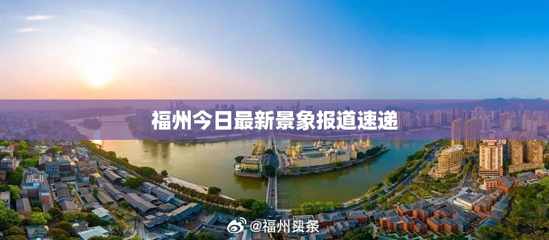 福州今日最新景象报道速递