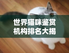 精雕细刻 第2页