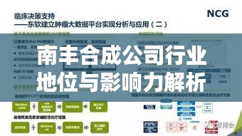 南丰合成公司行业地位与影响力解析，揭秘其在业界的排名与影响力