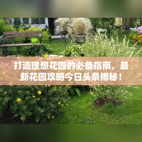 打造理想花园的必备指南，最新花园攻略今日头条揭秘！