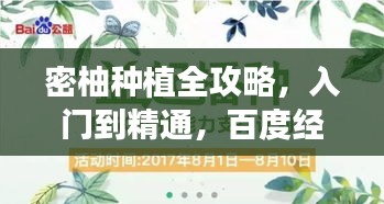 密柚种植全攻略，入门到精通，百度经验倾情分享