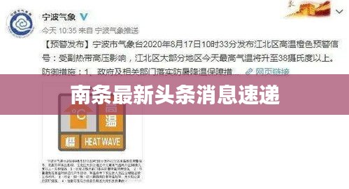 南条最新头条消息速递