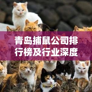 青岛捕鼠公司排行榜及行业深度解析