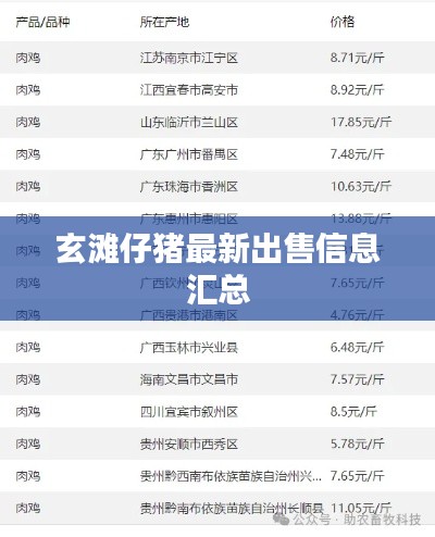 玄滩仔猪最新出售信息汇总