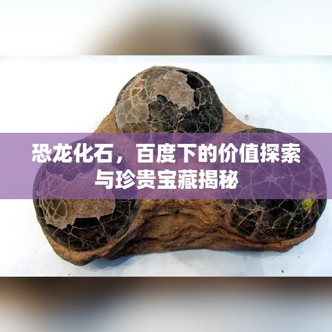恐龙化石，百度下的价值探索与珍贵宝藏揭秘