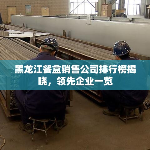 黑龙江餐盒销售公司排行榜揭晓，领先企业一览
