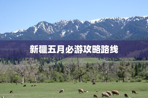 新疆五月必游攻略路线
