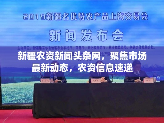 新疆农资新闻头条网，聚焦市场最新动态，农资信息速递