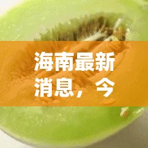 海南最新消息，今日状况全面更新