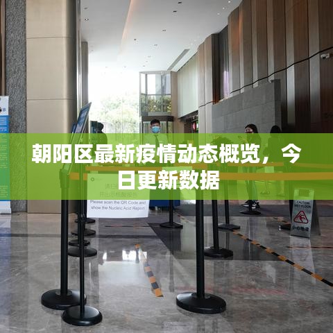 朝阳区最新疫情动态概览，今日更新数据