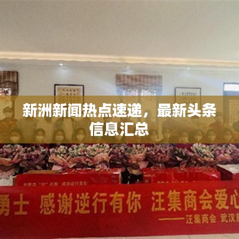 新洲新闻热点速递，最新头条信息汇总