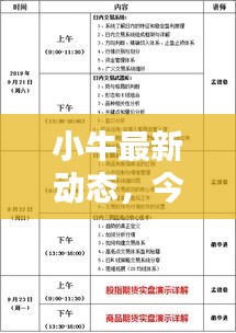 小牛最新动态，今日价格揭秘