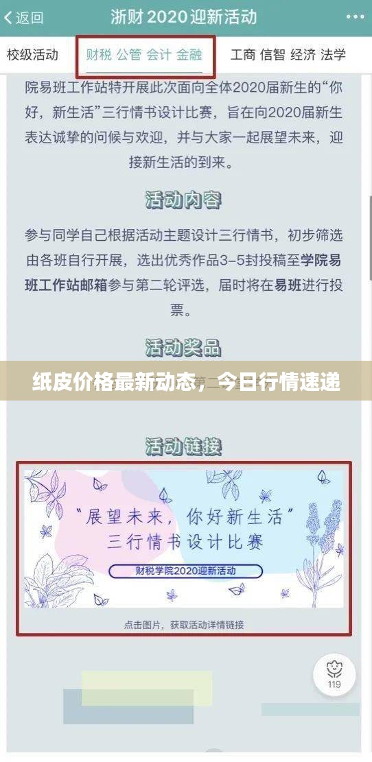 纸皮价格最新动态，今日行情速递