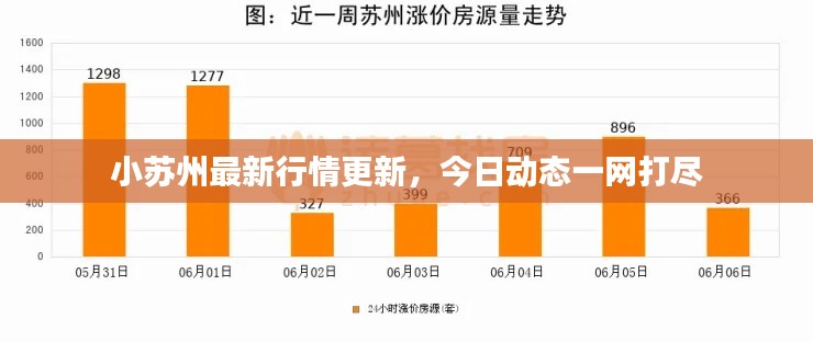 小苏州最新行情更新，今日动态一网打尽
