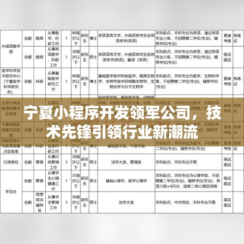 宁夏小程序开发领军公司，技术先锋引领行业新潮流