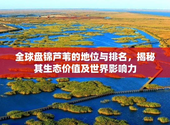 全球盘锦芦苇的地位与排名，揭秘其生态价值及世界影响力