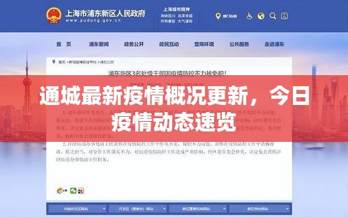 通城最新疫情概况更新，今日疫情动态速览
