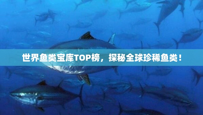 世界鱼类宝库TOP榜，探秘全球珍稀鱼类！