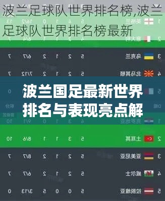 波兰国足最新世界排名与表现亮点解析