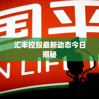 汇丰控股最新动态今日揭秘