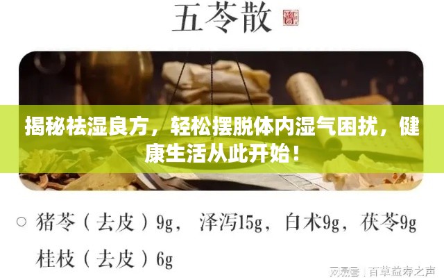揭秘祛湿良方，轻松摆脱体内湿气困扰，健康生活从此开始！
