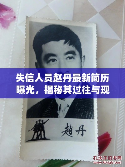 失信人员赵丹最新简历曝光，揭秘其过往与现状
