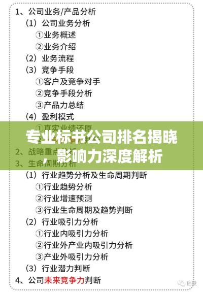 专业标书公司排名揭晓，影响力深度解析