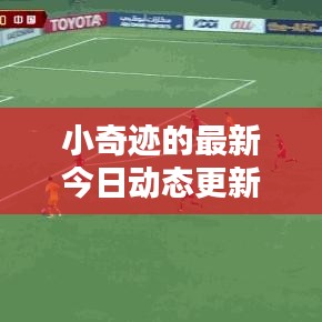乌鸟私情 第3页