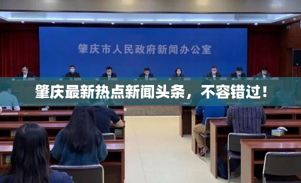 肇庆最新热点新闻头条，不容错过！